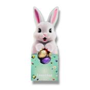 Sachet Lapin de Pâques 300g