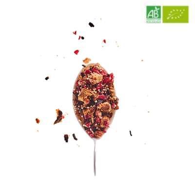 La Source des Coccinelles BIO Pochette 100g